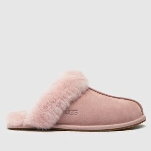 Ugg Scuffette II Pink Slippers